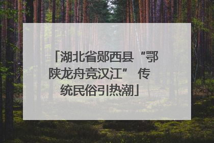 湖北省郧西县“鄂陕龙舟竞汉江” 传统民俗引热潮