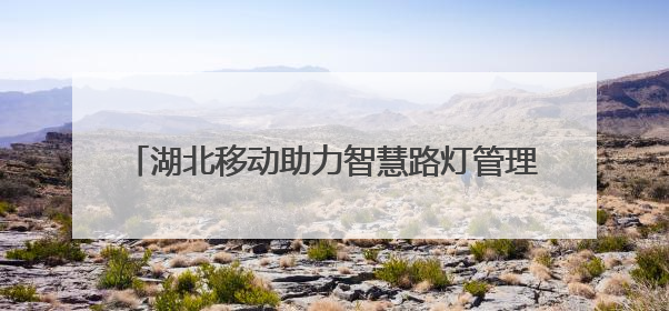 湖北移动助力智慧路灯管理迈入“AI＋灯链”时代