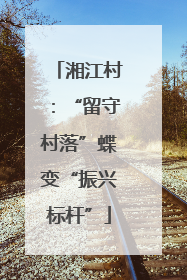 湘江村：“留守村落”蝶变“振兴标杆”