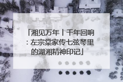 湘见万年丨千年回响：左宗棠家传七弦琴里的湖湘精神印记