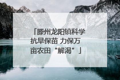 滕州龙阳镇科学抗旱保苗 力保万亩农田“解渴”