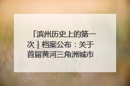 滨州历史上的第一次｜档案公布：关于首届黄河三角洲城市经济博览会暨发展论坛情况的总结报告