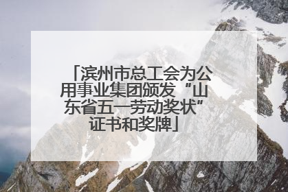 滨州市总工会为公用事业集团颁发“山东省五一劳动奖状”证书和奖牌