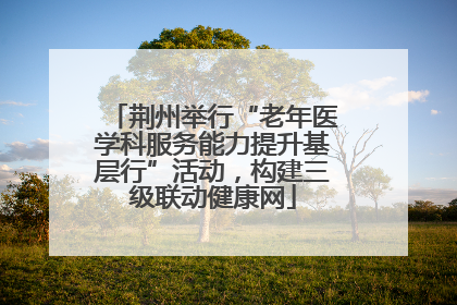 荆州举行“老年医学科服务能力提升基层行”活动，构建三级联动健康网