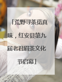 荒野寻茶觅真味，红安县第九届老君眉茶文化节启幕
