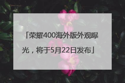 荣耀400海外版外观曝光，将于5月22日发布