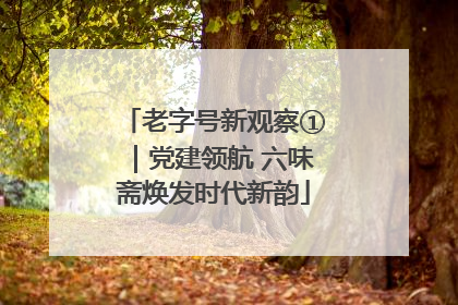 老字号新观察①｜党建领航 六味斋焕发时代新韵