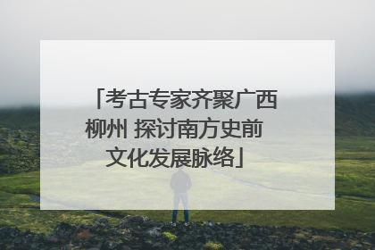 考古专家齐聚广西柳州 探讨南方史前文化发展脉络