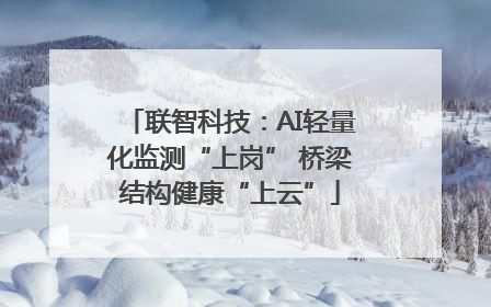 联智科技：AI轻量化监测“上岗” 桥梁结构健康“上云”