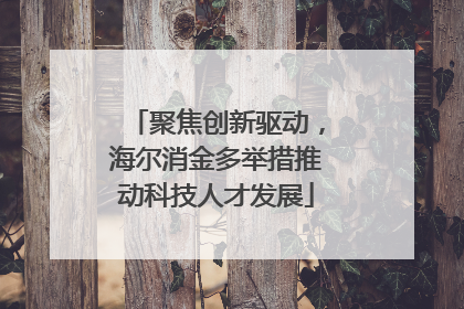 聚焦创新驱动，海尔消金多举措推动科技人才发展
