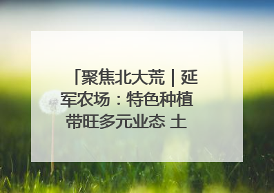 聚焦北大荒｜延军农场：特色种植带旺多元业态 土地焕发新活力