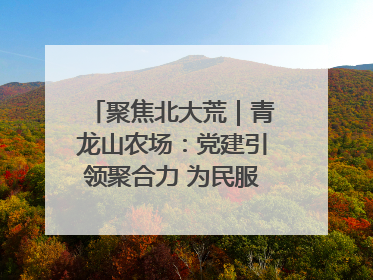 聚焦北大荒｜青龙山农场：党建引领聚合力 为民服务践初心