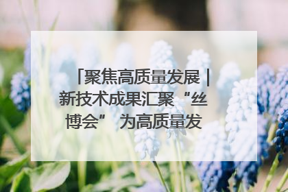 聚焦高质量发展｜新技术成果汇聚“丝博会” 为高质量发展注入新动能