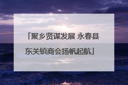 聚乡贤谋发展 永春县东关镇商会扬帆起航