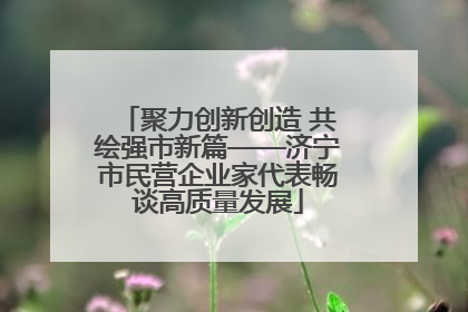 聚力创新创造 共绘强市新篇——济宁市民营企业家代表畅谈高质量发展