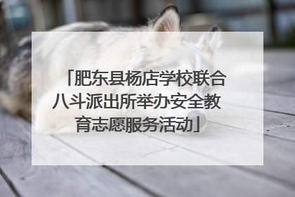 肥东县杨店学校联合八斗派出所举办安全教育志愿服务活动