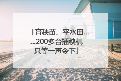 育秧苗、平水田……200多台插秧机只等一声令下