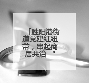 胜阳港街道党建红纽带，串起商居共治 “烟火圈”