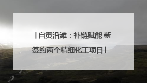 自贡沿滩：补链赋能 新签约两个精细化工项目