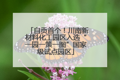 自贡首个！川南新材料化工园区入选“一园一策一图”国家级试点园区