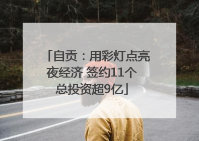 自贡：用彩灯点亮夜经济 签约11个总投资超9亿