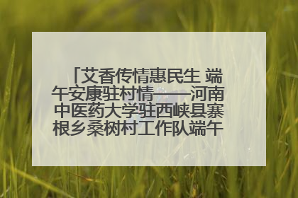 艾香传情惠民生 端午安康驻村情——河南中医药大学驻西峡县寨根乡桑树村工作队端午中医惠民记
