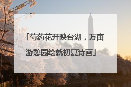 芍药花开映台湖，万亩游憩园绘就初夏诗画