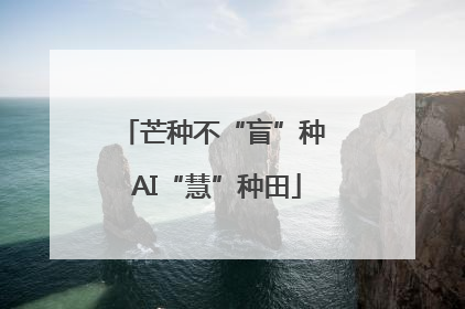芒种不“盲”种 AI“慧”种田