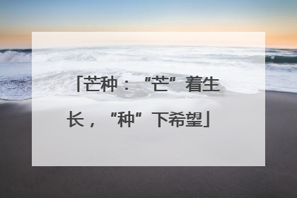芒种：“芒”着生长，“种”下希望