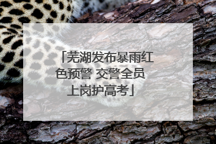 芜湖发布暴雨红色预警 交警全员上岗护高考
