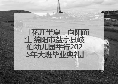 花开半夏，向阳而生 绵阳市盐亭县岐伯幼儿园举行2025年大班毕业典礼