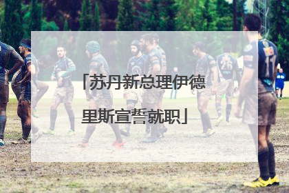 苏丹新总理伊德里斯宣誓就职