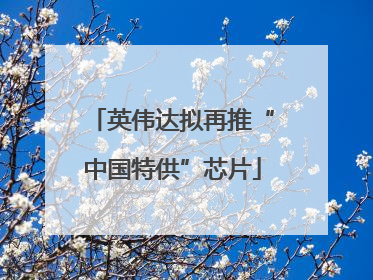英伟达拟再推“中国特供”芯片