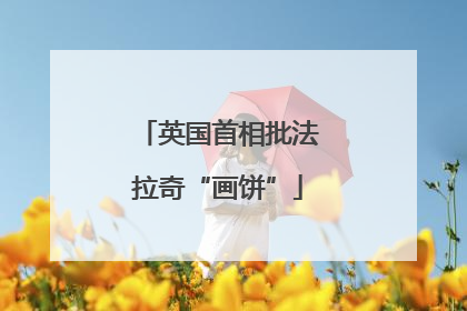 英国首相批法拉奇“画饼”