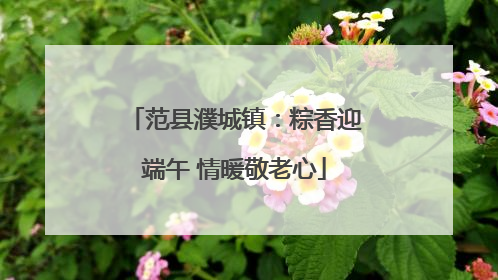 范县濮城镇：粽香迎端午 情暖敬老心