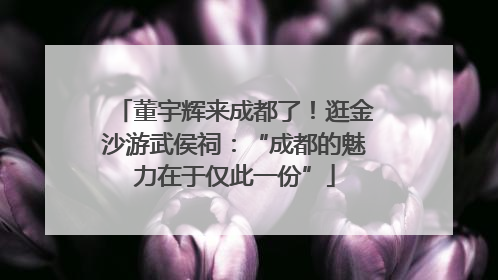 董宇辉来成都了！逛金沙游武侯祠：“成都的魅力在于仅此一份”