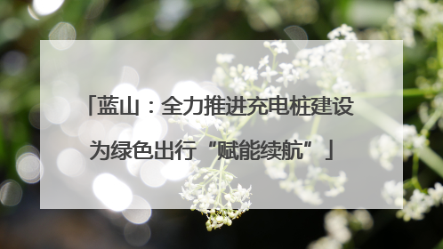 蓝山：全力推进充电桩建设 为绿色出行“赋能续航”