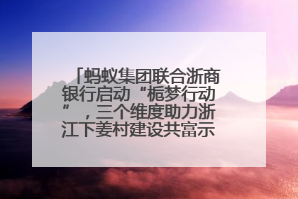蚂蚁集团联合浙商银行启动“栀梦行动”，三个维度助力浙江下姜村建设共富示范区示范点