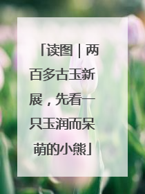 读图｜两百多古玉新展，先看一只玉润而呆萌的小熊
