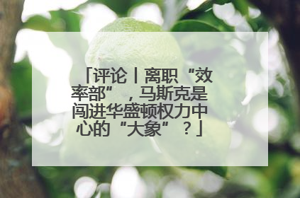 评论丨离职“效率部”，马斯克是闯进华盛顿权力中心的“大象”？