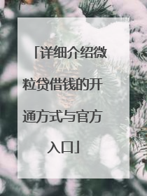 详细介绍微粒贷借钱的开通方式与官方入口