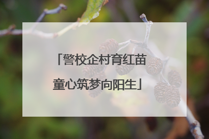 警校企村育红苗 童心筑梦向阳生