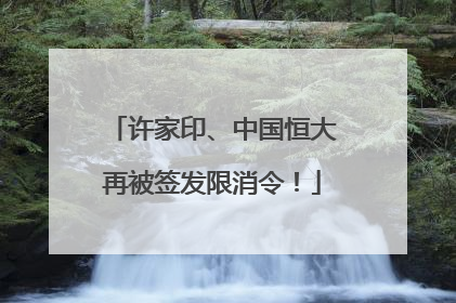 许家印、中国恒大再被签发限消令！