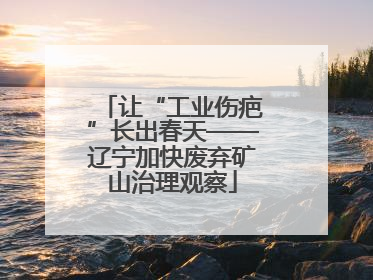 让“工业伤疤”长出春天——辽宁加快废弃矿山治理观察