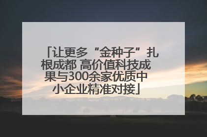 让更多“金种子”扎根成都 高价值科技成果与300余家优质中小企业精准对接