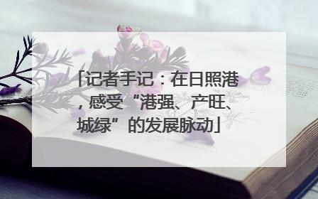 记者手记：在日照港，感受“港强、产旺、城绿”的发展脉动