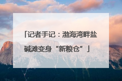 记者手记：渤海湾畔盐碱滩变身“新粮仓”