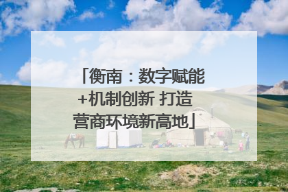 衡南：数字赋能+机制创新 打造营商环境新高地