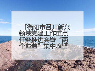 衡阳市召开新兴领域党建工作重点任务推进会暨“两个覆盖”集中攻坚工作专班 第一次会议