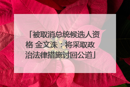 被取消总统候选人资格 金文洙：将采取政治法律措施讨回公道